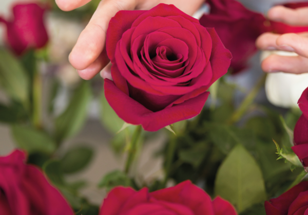 Bouquet de sept roses rouges